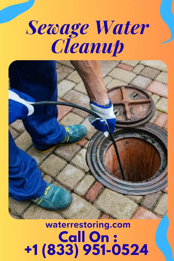Sewage Water Cleanup in Wataga, IL