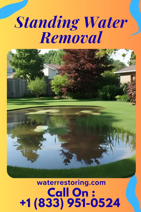 Standing Water Removal in Wataga, IL